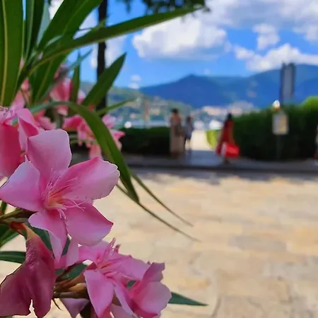 Plaza Deluxe Modern Center House - View - Privacy Daire Como